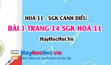 Bài 1 trang 14 SGK Hoá 11 Cánh diều